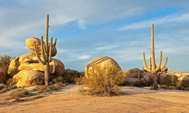 Desert-640x382